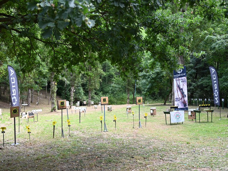 Campeonato norica